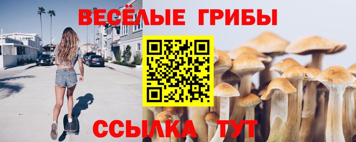 Псилоцибиновые грибы Cubensis  Псилоцибиновые грибы прущие грибы  Вход с VPN  Новоалександровск 